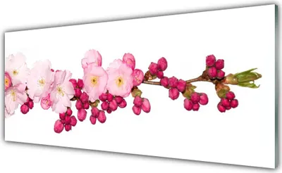 Produktbild von Glasbilder 125x50 Wandbild Druck auf Glas Blüten Zweig Pflanzen