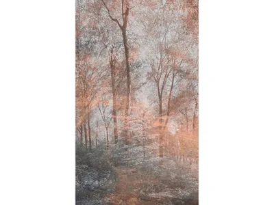 Produktbild von Fototapete - Colorful Forest Abstract 150x250cm - Vliestapete