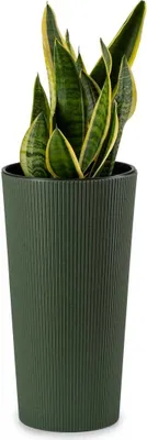 Produktbild von HowHomely Blumentopf Urbanika 47 cm Höhe, Pflanzkübel, Grün Übertopf für garten balkon