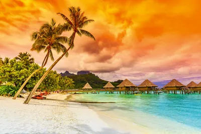 Produktbild von Fototapete - Polynesia 375x250cm - Vliestapete