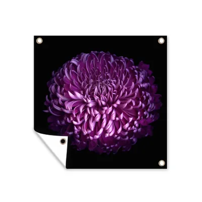 Obrázek produktu pro MuchoWow® Zahradní plakáty - Listy fialového květu na černém pozadí - 50x50 cm - Zahradní dekorace