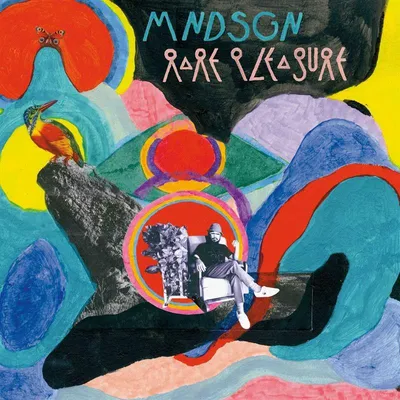 Image de Rare Pleasure (réédition sur vinyle coloré)