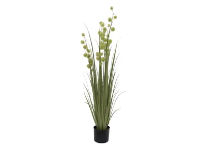 Obrázek produktu pro EUROPALMS Pomponová tráva, umělá, 122cm (82500136)