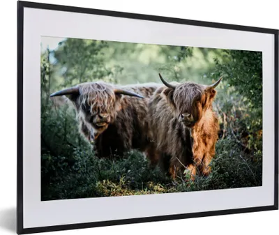 Produktbild von MuchoWow® MuchoWow® Gerahmtes Poster Schottische Hochlandrind - Wald - Tiere 60x40 cm - Poster mit zchwarzem Bilderrahmen - Schlafzimmer - Plakat in Rahmen - Drucken