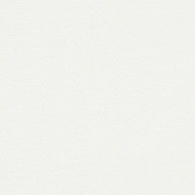 Obrázok produktu pre A.S. Creation | Premium Wall 2 | 389909 | Netkaná tapeta | Jednofarebná | 10,05 x 0,53 m | Biela | Obývacia izba | Chodba | Kancelária | Kuchyňa | Obývacie izby