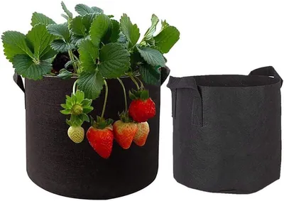 Dailygoods- Anzuchtbeutel 5 Stück - Atmungsaktiver Vliesstoff - Gemüsebehälter