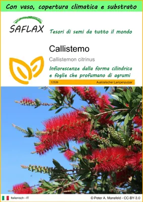 Immagine prodotto di SAFLAX Garden to go - Callistemo - 400 semi - Callistemon