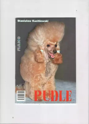 Imagen del producto de Pudle