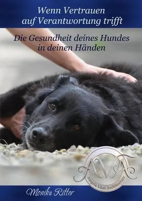 Immagine prodotto di Wenn Verantwortung auf Vertrauen trifft