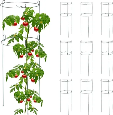 Produktbild von Relaxdays Rankhilfe 10er Set, Metall, runde Pflanzenstütze Tomaten & Gurken, HxD: 76x26 cm, 2 Ringe, Gurkenturm, grün