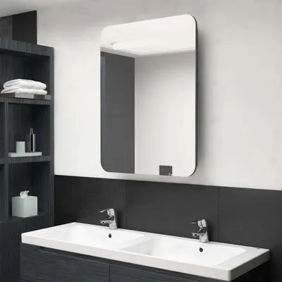 Image de The Living Store armoire de toilette LED gris brillant 60x11x80 cm