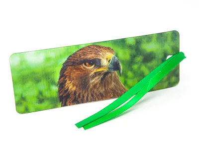 Produktbild von 3D-Lesezeichen - Adler - 15,5 cm