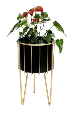 Produktbild von Blumenhocker mit Topf aus Metall in Gold und Schwarz, rund, 45 cm