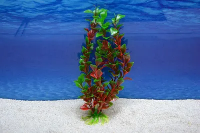 Produktbild von Amtra Ludwigia L 27 cm – Künstliche Pflanze für Aquarien
