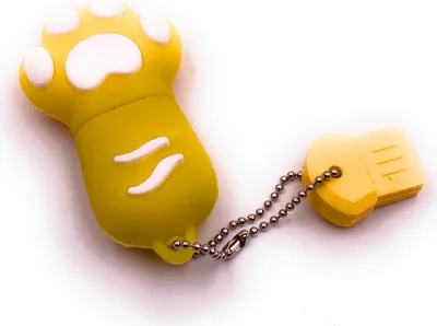 Obrázek produktu pro Onwomania Paw Paw Paw Yellow USB Flash disk Memory Stick 64GB USB 2.0
