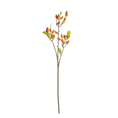 Obrázok produktu pre Dekorácia z divokej ruže 70 cm oranžová