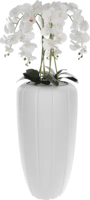 Produktbild von Weiß Künstliche Orchidee Kaskaden Blumenstrauß im Weiß Topf, ca. 125 cm Hoch, gummierte Blumen, 5 Triebe Heimbüro Dekoration