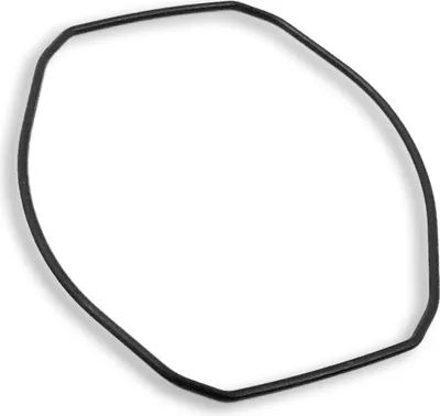 Produktbild von Dichtungsring Casio O-Ring schwarz für AQ-164 10285501
