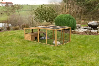 Produktbild von Kerbl Pet Pet Freigehege mit Ausbruchsperre, 220x115x75 cm,