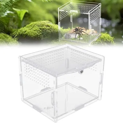 Zdjęcie produktu dla Terrarium gadów akrylowe 360 przezroczyste do karmienia owadów