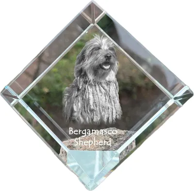 Immagine prodotto di Art-Dog Fermacarte – Cane da Pastore Bergamasco