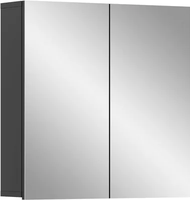 A mirrored cabinet with two doors.