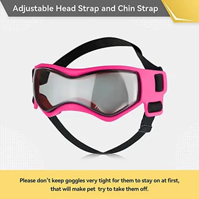 Hunde-Sonnenbrille für kleine Hunde, Hauptbild