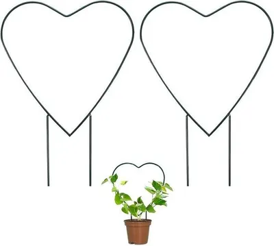 Image de Treillis pour plantes en pot, lot de 2, 318 cm - Utilisation à l'intérieur et à l'extérieur