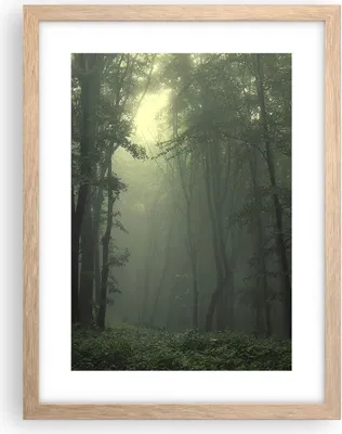 Produktbild von Gerahmtes Poster - Rahmen in heller Eiche - Wald Nebel Baum - 30x40 cm - Wand Bild - Wanddeko - Wandbilder - Kunstposter - Wandposter - Bilderrahmen - Bilder - Kunstdruck - Wandbild - P2NPA30x40-3543