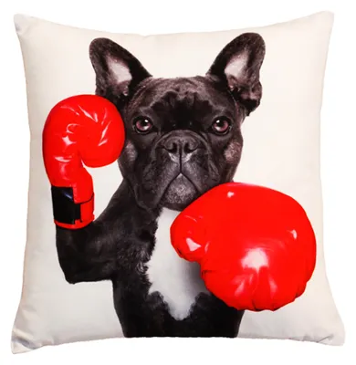 Produktbild von Kissenbezug Fotodruck Kissenhülle 30x30 cm Hund boxen Kissenhülle Kopfkissen