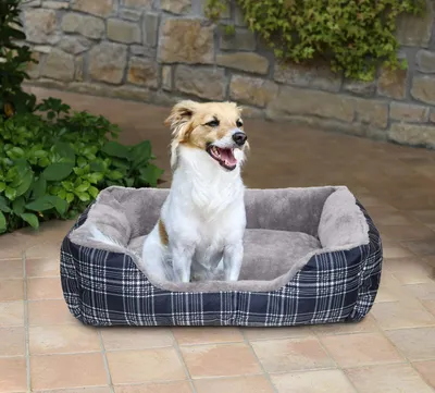 Productafbeelding van Sogni e capricci C-WILLY-62x50x17cm: Hondenbed, model Willy, 62x50x17cm