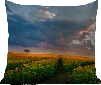 Produktbild von MuchoWow® Outdoor Kissen - Blumen - Gelb - Sonnenuntergang - 40x40 cm - Wetterfest - Lounge Kissen - Kopfkissen - Interieur - Polster mit Bild