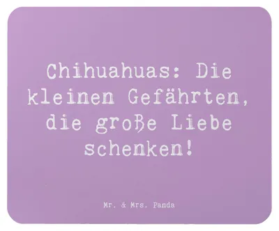 Produktbild von Mr. & Mrs. Panda Mauspad Spruch Chihuahua Liebe - Lavendeltraum - Geschenk, Hunde, laptop mousepad, Mouse Pad, Hunderasse, verspielte, soziale, Hunderassen, Chihuahuas