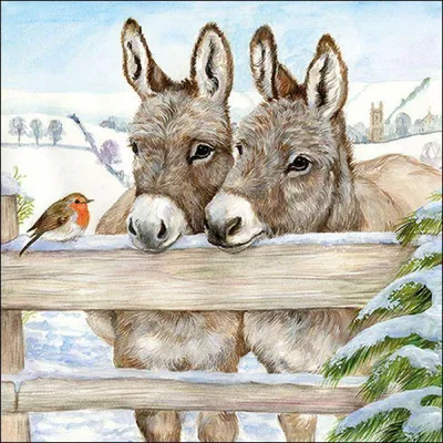 Produktbild von RP 20 Servietten Donkeys - Esel im Winter 33x33cm