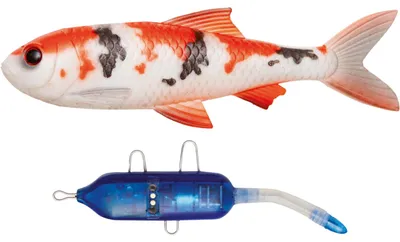 Produktbild von Pulz Bait Roach Kit (Koi Carp)
