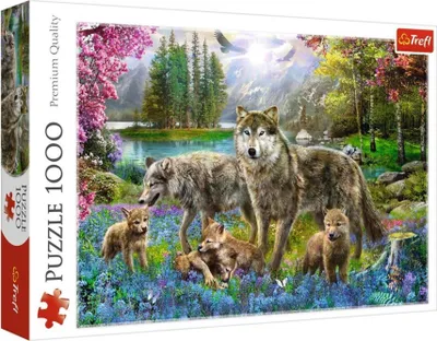 Immagine prodotto di Trefl 10558 puzzle Puzzle da 1000 pezzi Altro