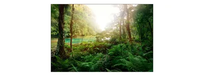 Obrázek produktu pro Fototapeta les 180 (š) x 120 (v) cm netkaná tapeta jezero stromy rostliny obývací pokoj ložnice moderní nástěnné malby XXL krajina panorama nástěnná dekorace