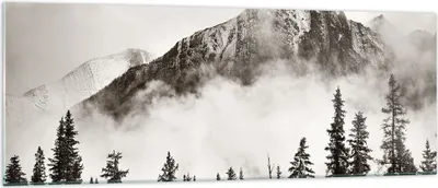 Produktbild von Bilder auf glas - Einteilig - Nebel Berg Wald - 140x50cm - Glasbilder - Wandbilder - Bilder - zum Aufhängen bereit - Wanddekoration aus Glas - Glas Bilder - Wandbild auf Glas - GAB140x50-4936