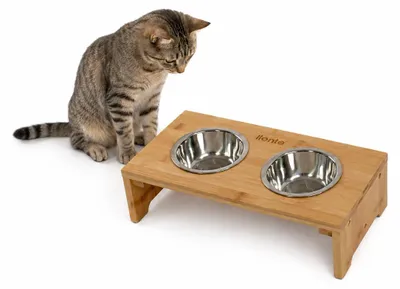 Produktbild von lionto Katzennapfständer, erhöhte Futterstation aus Bambus mit 2 Edelstahlnäpfen, ergonomisch & rutschfest, 40x20x10 cm