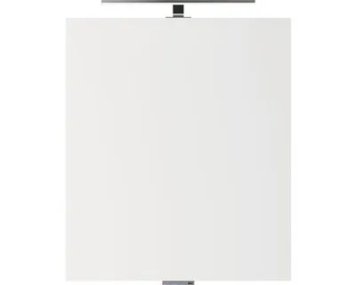 Produktbild von pelipal LED Badspiegel xpressline 4035 3 Watt mit USB Anschluss 60 x 70 cm Leuchte chrom 4800.016002