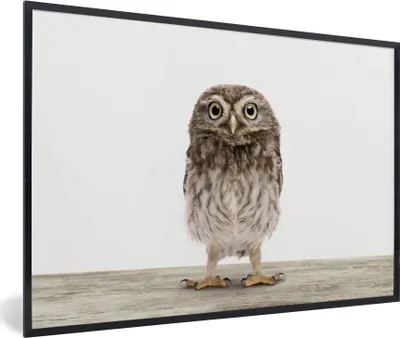 Produktbild von MuchoWow® Gerahmtes Poster Eule - Braun - Eulenküken - Kinder - Jungen - Mädchen 90x60 cm - Poster mit Schwarzem Bilderrahmen Wandposter Rahmen Foto Bilder - Fotorahmen - Foto-Plakat