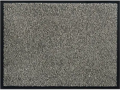 Immagine prodotto di Tappeto antisporco per interni beige 40x60 cm
