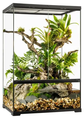 Obrázok produktu pre Exo Terra Pro Paludarium M X-tall Terárium 60x45x90 cm Zelené 60x45x90 cm Zelené 60x45x90 cm