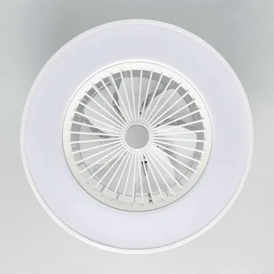 Image de Ventilateur de plafond avec éclairage Philips Blanc