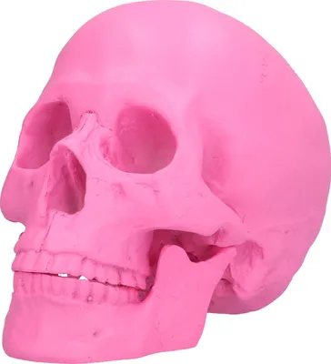 Zdjęcie produktu dla Żywiczne dekoracje czaszki na Halloween Festiwal Rekwizyty domowe Fałszywe ozdoby czaszki całej osoby Różowy