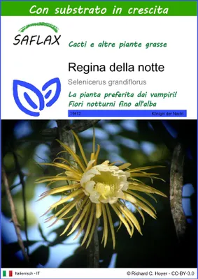 Immagine prodotto di SAFLAX  - Regina della notte - 40 semi - Con substrato - Selenicerus