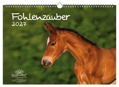 Produktbild von Fohlenzauber DIN A3 Kalender für 2027 Pferde und Fohlen - Seelenzauber