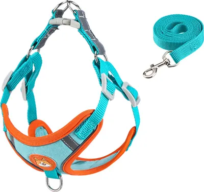 Produktbild von Haustierkabelbaum Leine reflektierende Streifen atmungsaktiv bequem verstellbarer Hundeweste Set für den Außenlauf Travel See Blau M.