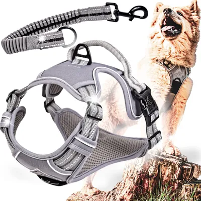 Image de Solidchoice - Harnais pour chiens de qualité supérieure