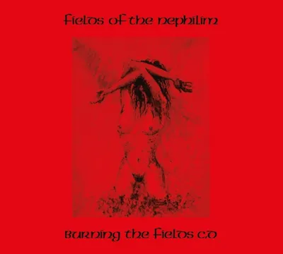 Produktbild von Burning The Fields (2CD)